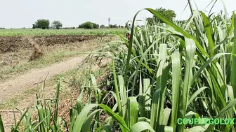 Komal Khuleaam Ganne Ke Khet Mein Apni Chut Dho Rahi Thi