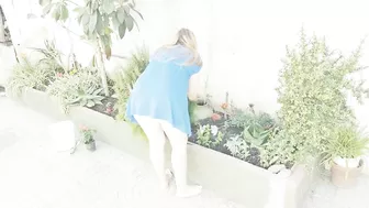 Sex With The Voyeur Gardener With A Girl In A Short Dress Without Panties