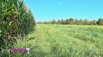 Blowjob In The Cornfield And Then The Whole Load In The Face - Attention, Spectators! - Part 2 - The Einhorny-Wg