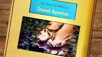 Is Your Aquarium Sexy?!? Asmr Relaxation Part / Slippery Fish Clean?Not Only My Feet X-Asmrcom