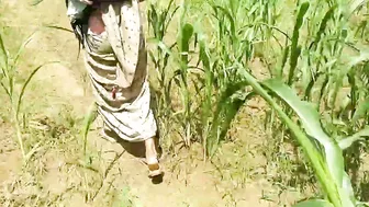 Brother-In-Law Fucks Rajasthani In Millet Field