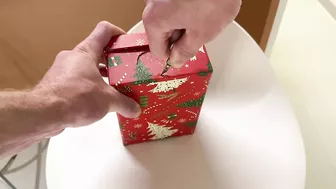 Christmas Dick In A Box For My Big Titty Step Sister