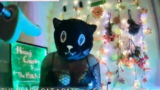 Honey Cosplay Room - The African Cat - - Pt.one