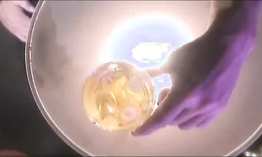 Facial Cumshot Cum Shot, One On One, Costume