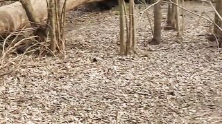 Blonde With Big Breasts Goes Into The Woods To Masturbate