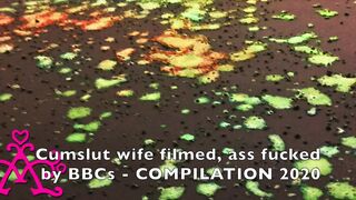 Cumslut Wife Fucked Raw By Bbcs Compilation 2020 Full Video