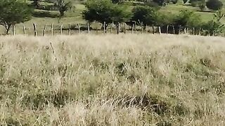 Nada Como Una Buena Chupada Al Aire Libre