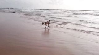 Bath In Pool And In The Sea