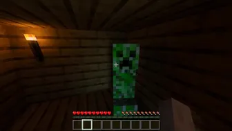 Getting Fucked By A Creeper In Minecraft 12: Beach House