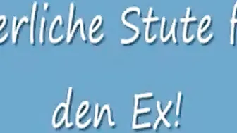 Zierliche Stute Fuer Den Ex