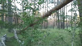 Quick Blowjob And Fucking In The Forest