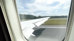 Risky Public Blowjob On A Plane Full Of People