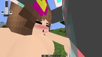 Basically Minecraft Sex…