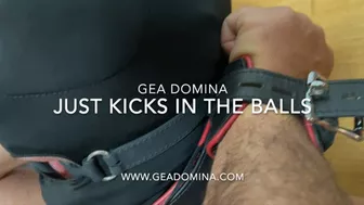 Gea Domina - Just Kicks In The Balls (Mobile)