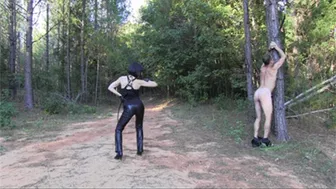 Bullwhipped Because I Feel Like It (Wmv Hd)