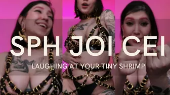 Sph Joi Cei:laughing At Your Tiny Shrimp