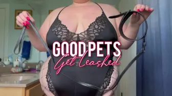 Good Pets Get Leashed