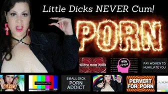 Little Dick Pornoholic Humiliation (No Music)