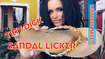 Tiny Dick Sandal Licker