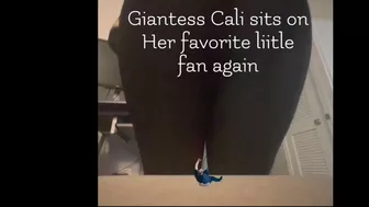 Giantess Cali Sits On Her Favorite Little Fan Again