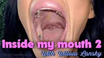 Inside My Mouth 2 - Willow Lansky - Hd 720 Mp4