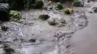 Fudendo Na Cachoeira Com Latina Gozando Na Sua Boca