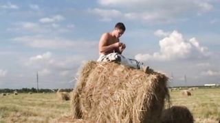 Farm Field Sex