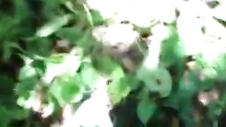 Russian Girl Sucks Her Lover In Bushes In Forest! Amateur